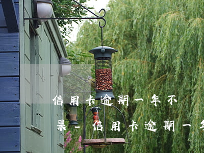 信用卡逾期一年不還會(huì)有什么后果-信用卡逾期一年不還會(huì)有什么后果嗎