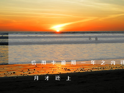 信用卡逾期一年之内还上(信用卡逾期了半个月才还上)