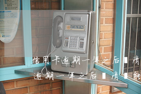 信用卡逾期一年之后還清還能用嗎-信用卡逾期一年之后還清還能用嗎知乎