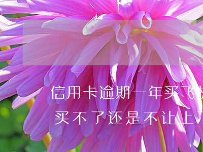 信用卡逾期一年买飞机票(信用卡逾期是飞机买不了还是不让上飞机)