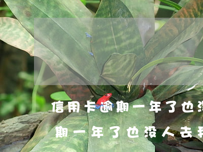 信用卡逾期一年了也没人去我家-信用卡逾期一年了也没人去我家催收