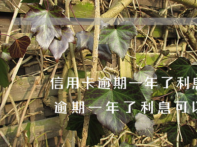 信用卡逾期一年了利息可以免除嗎-信用卡逾期一年了利息可以免除嗎怎么算