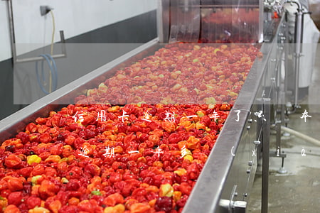 信用卡逾期一年了只還本金行嗎-我信用卡逾期一年多現(xiàn)在還掉了還可以用嗎