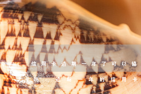 信用卡逾期一年了可以協(xié)商免息嗎-逾期一年的信用卡是否可以去協(xié)商分期