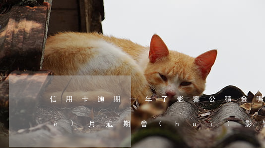 信用卡逾期一年了影響公積金嗎(有1個(gè)月逾期會(huì)影響公積金)