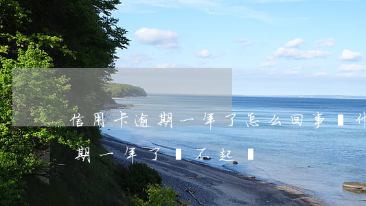 信用卡逾期一年了怎么回事(為什么信用卡逾期一年了,還不起訴)