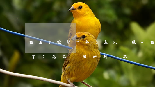 信用卡逾期一年了怎么辦理-信用卡逾期一年了怎么辦理分期還款