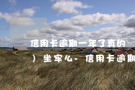 信用卡逾期一年了真的沒有錢還會(huì)坐牢么-信用卡逾期一年了真的沒有錢還會(huì)坐牢么嗎