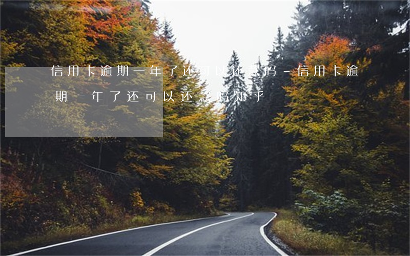 信用卡逾期一年了还可以还款吗-信用卡逾期一年了还可以还款吗知乎