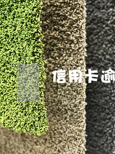 信用卡逾期一年了還不上征信嗎