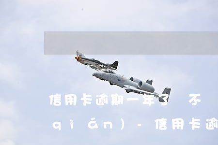 信用卡逾期一年了還不進(jìn)去錢(qián)-信用卡逾期一年了還不進(jìn)去錢(qián)