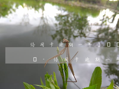 信用卡逾期一年了還沒(méi)起訴怎么辦-信用卡逾期一年了還沒(méi)起訴怎么辦呢