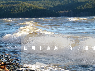 信用卡逾期一年了還能辦理分期