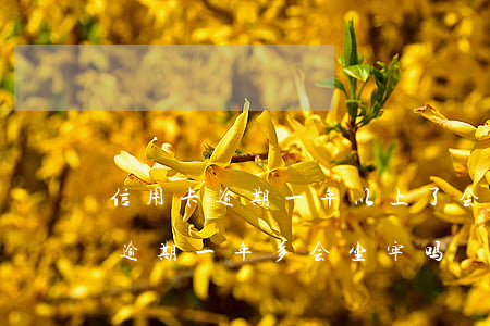 信用卡逾期一年以上了会坐牢吗-欠信用卡逾期一年多会坐牢吗