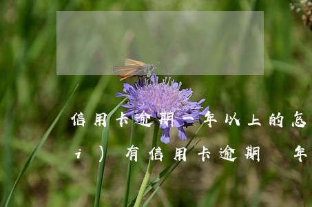信用卡逾期一年以上的怎么處理(有沒(méi)有信用卡逾期兩年以上的)
