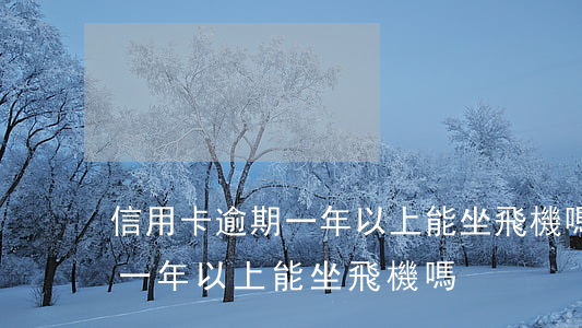 信用卡逾期一年以上能坐飛機嗎（信用卡逾期一年以上能坐飛機嗎）
