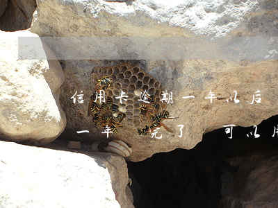 信用卡逾期一年以后還可以用嗎(信用卡逾期一年還完了還可以用嗎)
