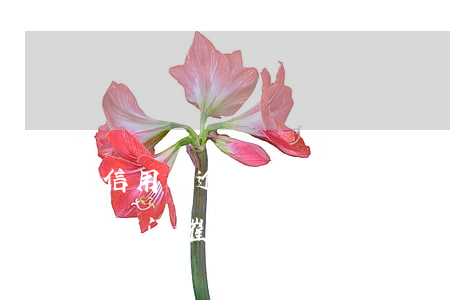 信用卡逾期一年会上门催债吗(欠信用卡银行上门催账了)