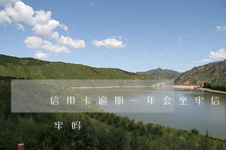 信用卡逾期一年会坐牢(信用卡逾期一年会坐牢吗)
