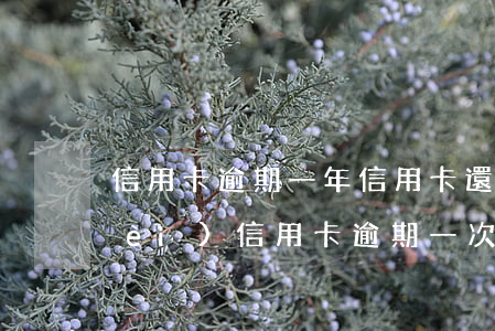 信用卡逾期一年信用卡還能用嗎(一年內(nèi)信用卡逾期一次有什么影響)