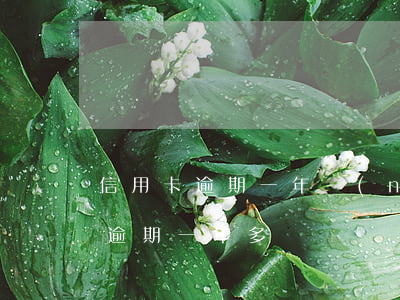 信用卡逾期一年內(nèi)犯法嗎(信用卡逾期一年多)