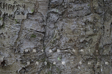 信用卡逾期一年內(nèi)犯法嗎(有沒有信用卡逾期一年以上的)