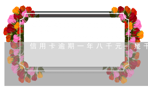 信用卡逾期一年八千元-幾千塊信用卡逾期