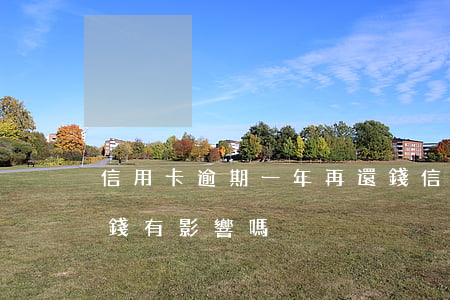 信用卡逾期一年再還錢(信用卡逾期一年再還錢有影響嗎)