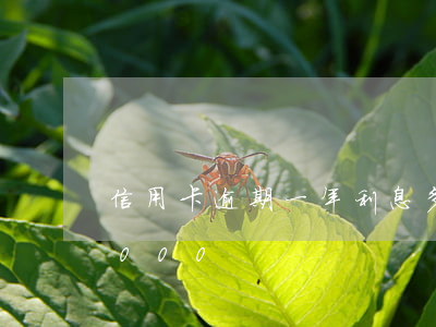 信用卡逾期一年利息多少（信用卡逾期一年8000）