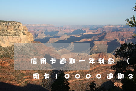 信用卡逾期一年利息會(huì)有多少(信用卡10000逾期2年利息會(huì)有多錢(qián))