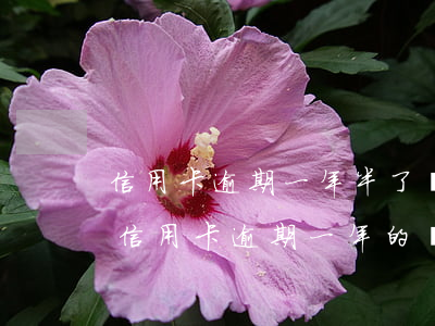 信用卡逾期一年半了會(huì)怎么樣(有信用卡逾期一年的嗎)