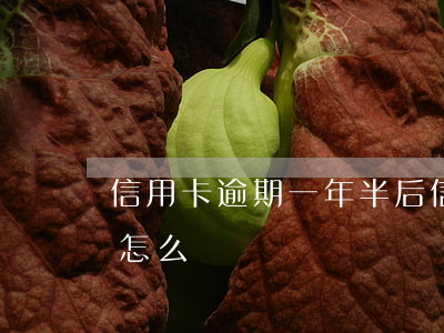 信用卡逾期一年半后(信用卡逾期一年半后會怎么樣)