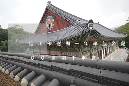 信用卡逾期一年半怎么處理最好(信用卡2000逾期半年會(huì)怎么樣)