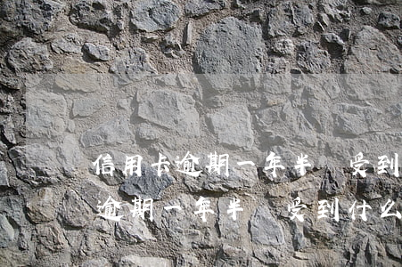 信用卡逾期一年半會受到什么懲罰-信用卡逾期一年半會受到什么懲罰呢