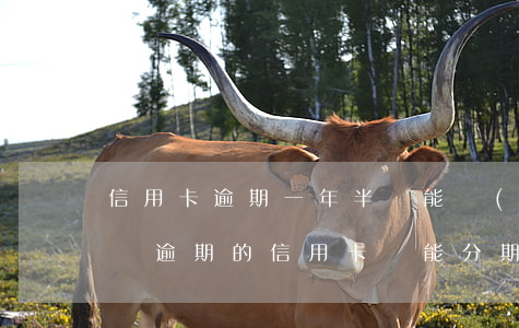 信用卡逾期一年半還能協(xié)商分期嗎(逾期的信用卡還能分期嗎)