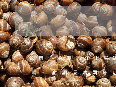 信用卡逾期一年半還能協(xié)商還款嗎-逾期還清兩年后可以申請(qǐng)信用卡嗎