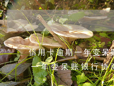 信用卡逾期一年变呆账银行协商（信用卡逾期一年变呆账银行协商）