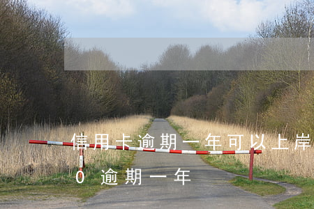 信用卡逾期一年可以上岸嗎(信用卡10000逾期一年)
