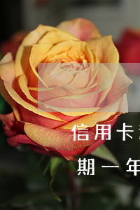 信用卡逾期一年可以最低還款嗎-信用卡逾期一年可以最低還款嗎怎么辦