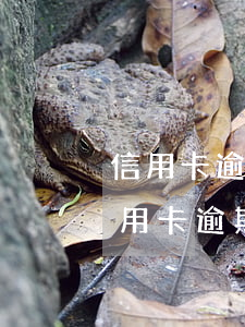 信用卡逾期一年可以買二等座嗎-為什么信用卡逾期一年了還可以買高鐵票