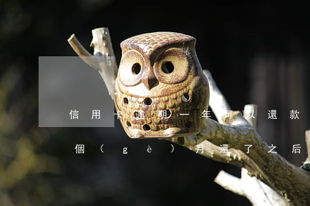 信用卡逾期一年可以還款嗎(我信用卡逾期一個(gè)月,還了之后還能用嗎)