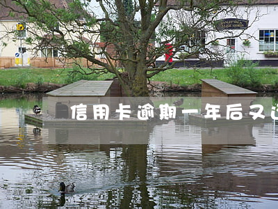 信用卡逾期一年后又还清还能用吗