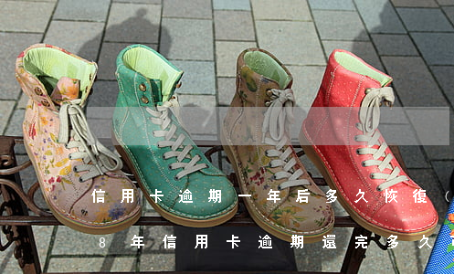 信用卡逾期一年后多久恢復(fù)(2018年信用卡逾期還完多久可以再次申請)