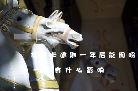 信用卡逾期一年后能用吗(一年内信用卡逾期一次有什么影响)