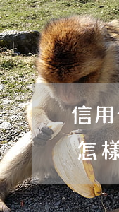 信用卡逾期一年后要還嗎(信用卡逾期1年會怎樣)