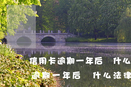 信用卡逾期一年后負什么法律責任-信用卡逾期一年后負什么法律責任呢