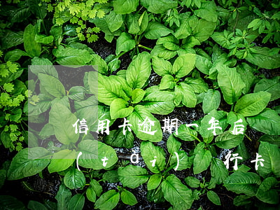信用卡逾期一年后賬戶凍結(jié)狀態(tài) 銀行卡凍結(jié)導(dǎo)致信用卡逾期