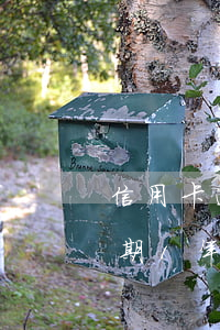 信用卡逾期一年后还有额度吗-我信用卡逾期1年了8000额度