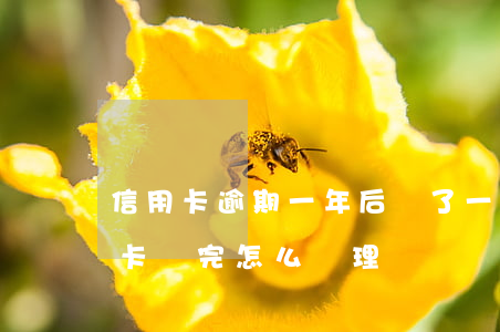 信用卡逾期一年后還了一點(逾期幾年的信用卡還完怎么處理)