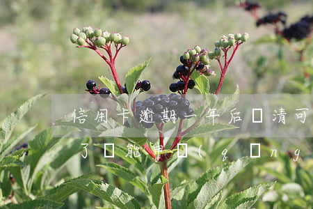 信用卡逾期一年后還清可以嗎(逾期半年還清了還能申請(qǐng)信用卡嗎)